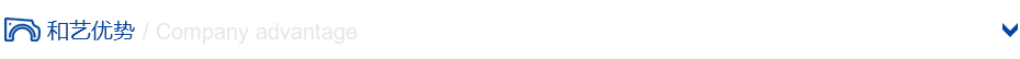 公司優(yōu)勢(shì)